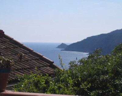 Une vraie petite maison indépendante dans la nature