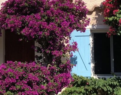 Villa des années 30 pleine de charme dans un jardin méditerranéen en restanques