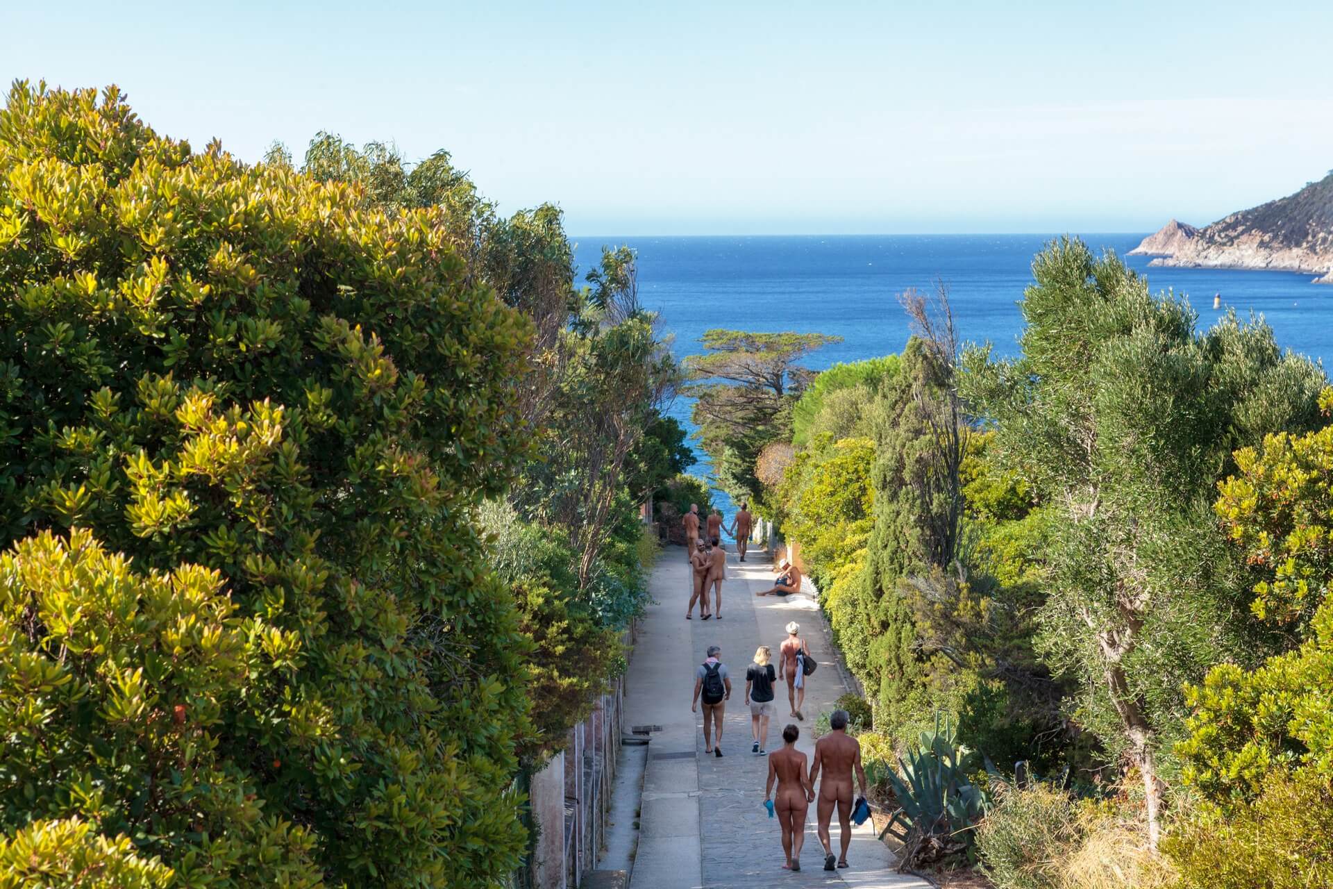 Ile du levant galerie 0002 le Du Levant Domaine Naturiste H liopolis