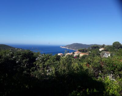 Bungalow « L’amazone » simple et « cosy » avec vue sur mer