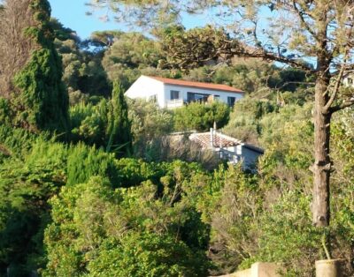 « Montecristo » studio tout confort, terrasse avec vue mer