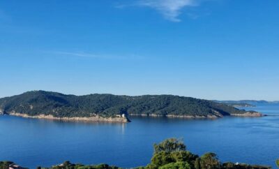 Bungalow « Sainte Marguerite » Durville authentique tout confort, terrasse avec vue mer