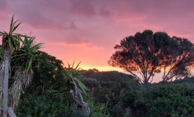 « Capri » studio tout confort, terrasse avec vue mer