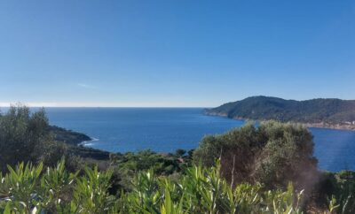 Bungalow « Sainte Marguerite » Durville authentique tout confort, terrasse avec vue mer