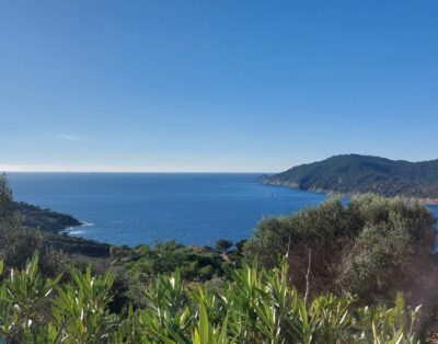 Bungalow « Sainte Marguerite » Durville authentique tout confort, terrasse avec vue mer