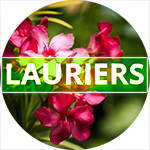 Image de Contacter l'hôte