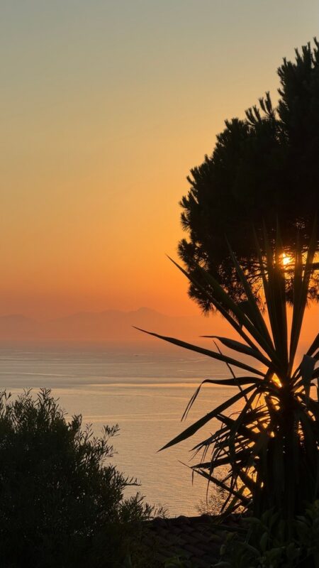 la-fourmi-ile-du-levant-2026-01-##